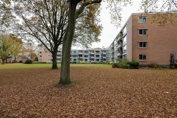 Medium property photo - Dingspellaan 29, 9471 HD Zuidlaren